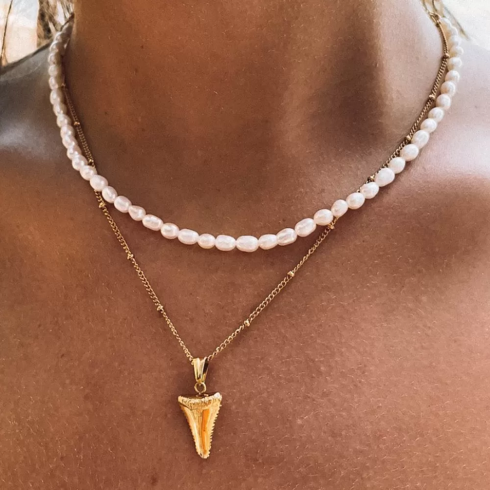 Atolea Jewelry Shark Tooth Necklace